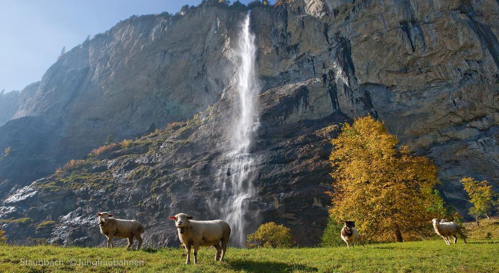 Camping Jungfrau Lauterbrunnen Exterior photo